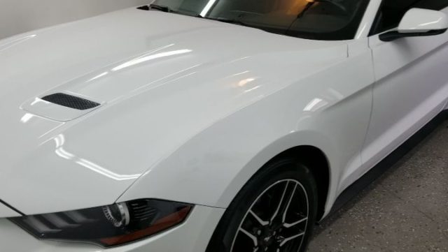 2019 Ford Mustang came in for a One Step Correction + Our 2yr Ceramic Coating⁣
⁣
Contact us to schedule your vehicle next!⁣
⁣
773-827-9781⁣
⁣
#ericthedetailguy #detailersofinstagram #chicago #illinois #stickney #chicagodetailing #ford #mustang #gt #shelby #camaro #corvette #brz #challenger #dodge #charger #mercedes #amg #bmw #m3 #porsche #scion #evo #nissangtr #370z #350z #tesla #ev