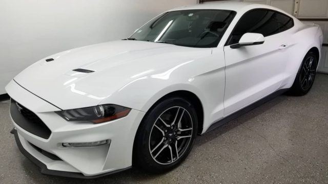 2019 Ford Mustang came in for a One Step Correction + Our 2yr Ceramic Coating⁣⁣
⁣⁣
Contact us to schedule your vehicle next!⁣⁣
⁣⁣
773-827-9781⁣⁣
⁣⁣
#ericthedetailguy #detailersofinstagram #chicago #illinois #stickney #chicagodetailing #ford #mustang #gt #shelby #camaro #corvette #brz #challenger #dodge #charger #mercedes #amg #bmw #m3 #porsche #scion #evo #nissangtr #370z #350z #tesla #ev